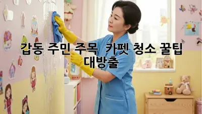 갑동 주민 주목! ✨ 카펫 청소 꿀팁 대방출 🧺