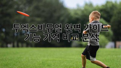 투엑스비듀얼 완벽 가이드: 기능, 가격 비교 분석